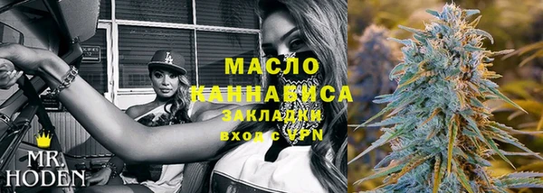 метадон Богданович