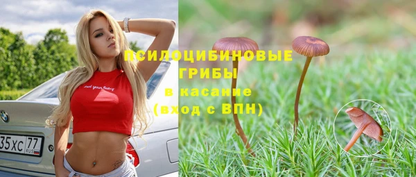 ешки Белокуриха