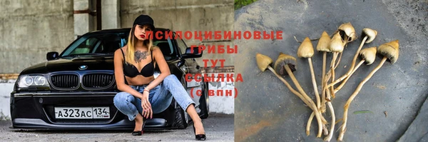 метадон Богданович