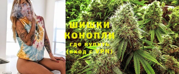 ешки Белокуриха